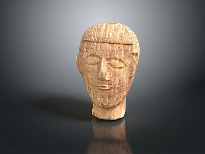 Medical Device Anatomical Human Head Wooden Model For Educational Training 3d model