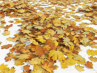 Colorful Fall Leaves Scattered On White Surface With Yellow And Orange Foliage 3d model