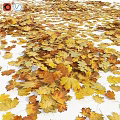 Colorful Fall Leaves Scattered On White Surface With Yellow And Orange Foliage