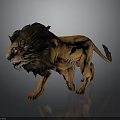 Realistic 3D Lion Model With Dark Mane Brown Body Walking On Grey Background