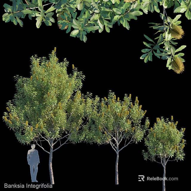 Assorted Decorative Tree Ornaments Set With Green Foliage And Various Sizes 3d model 