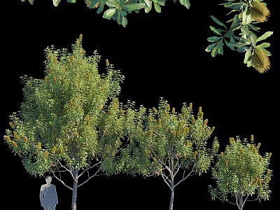 Assorted Decorative Tree Ornaments Set With Green Foliage And Various Sizes 3d model