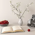 Decorative Ornament Combination With Open Book Cherry Bowl White Flower Branch Vase Vintage Camera Cherry