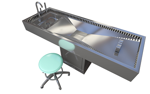 Modern Anatomy Table Human Anatomy Table 3d model