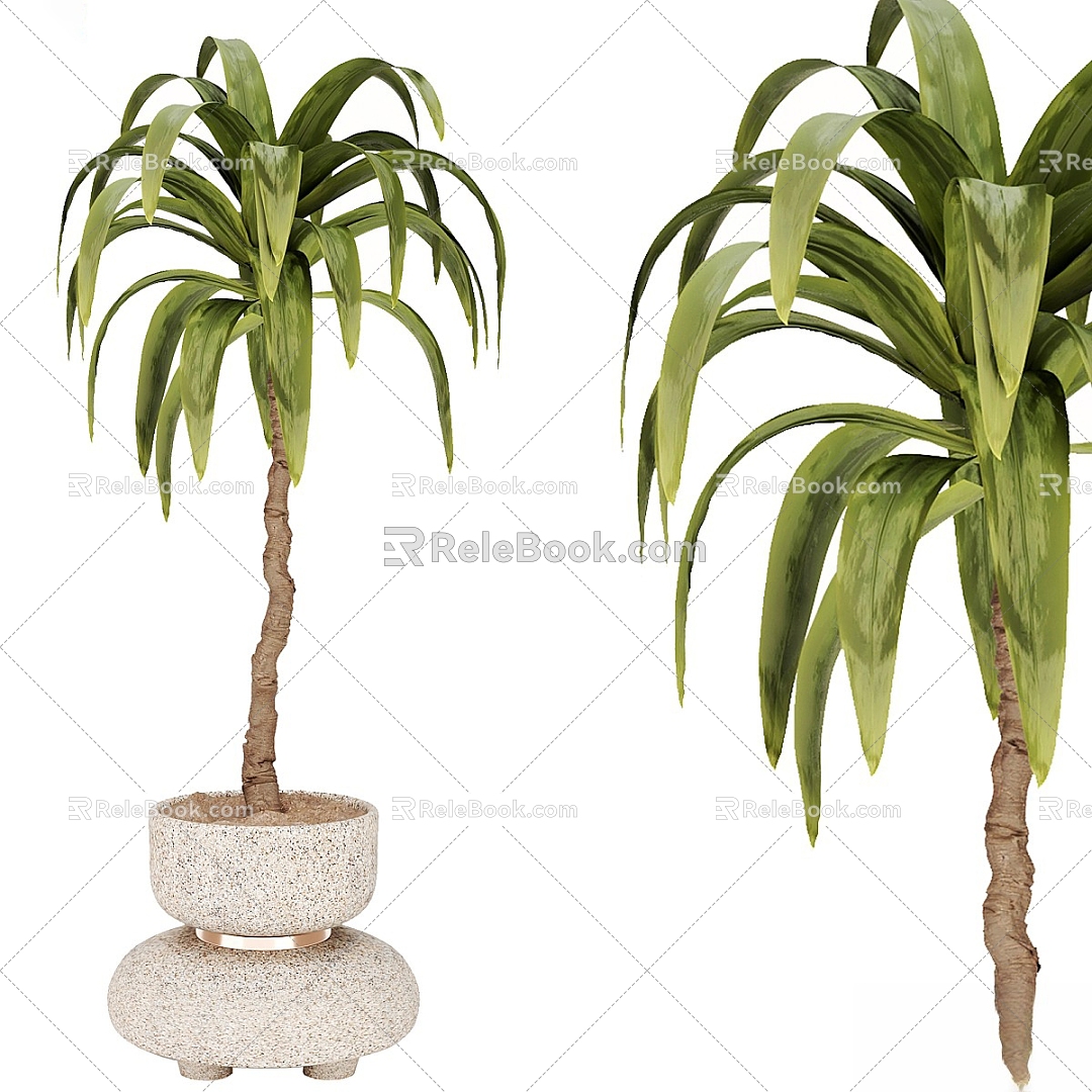 Indoor Plants 38 3d model