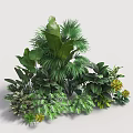 Lush Plant Combination With Diverse Green Leaves For Indoor Home Decor