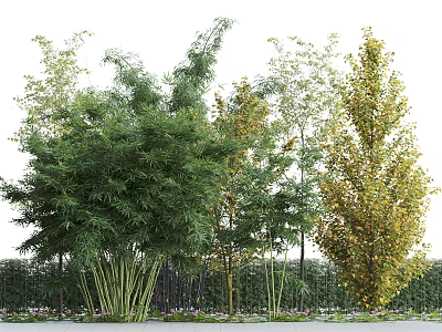 Tall Bamboo Stalks With Leafy Trees In Lush Garden Landscape Design 3d model