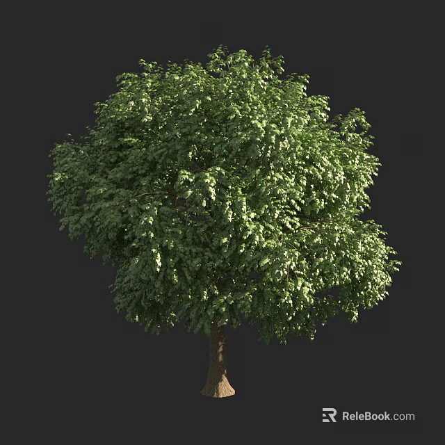 Lush Green Arbor With Dense Foliage And Brown Trunk On Dark Background 3d model 