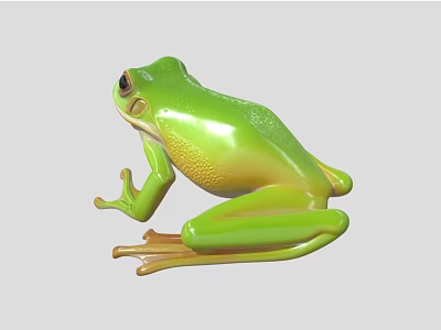 Green Aquatic Animal Frog With Yellow Belly In Sitting Position 3D Render 3d model