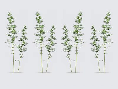 Natural Green Bamboo Plants With Tall Stems And Lush Leaves Arrangement 3d model