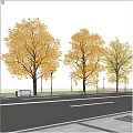 Yellow Leaf Trees in Urban Square with Blue Sky Street Lamps and Benches
