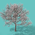 Vibrant Shrub With Pink Blossoms Against Light Blue Background And Shadow