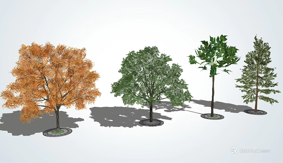 Arbor Trees With Different Colored Leaves And Shadows On White Background 3d model 