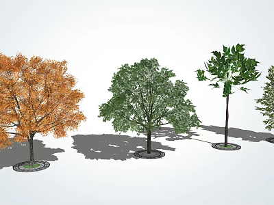 Arbor Trees With Different Colored Leaves And Shadows On White Background 3d model