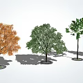modern tree landscape tree arbor 3d model