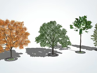 modern tree landscape tree arbor 3d model