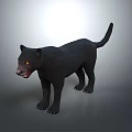 Black Panther With Black Fur And Yellow Eyes Standing On Gray Background Showing Teeth