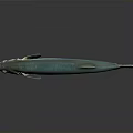 Realistic Turquoise and White Fish with Shiny Fins Tail on Reflective Surface
