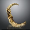 Crescent Shaped Animal Horn With Amber Crystals And Natural Texture On Dark Background