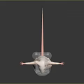 3D Rendered Mouse in Standing Pose With Transparent Helmet and Shoulder Straps