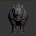 Realistic Rhinoceros 3D Model Standing With Detailed Skin Texture And Gray Background