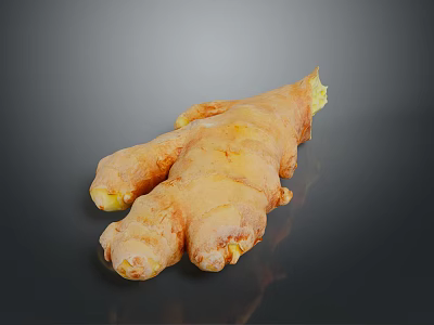 Fresh Raw Ginger Root with Natural Brown Texture Healthy Culinary Ingredient 3d model