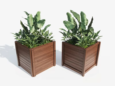 Lush Green Plants In Wooden Planters With Large Leaves For Outdoor Garden Decor 3d model