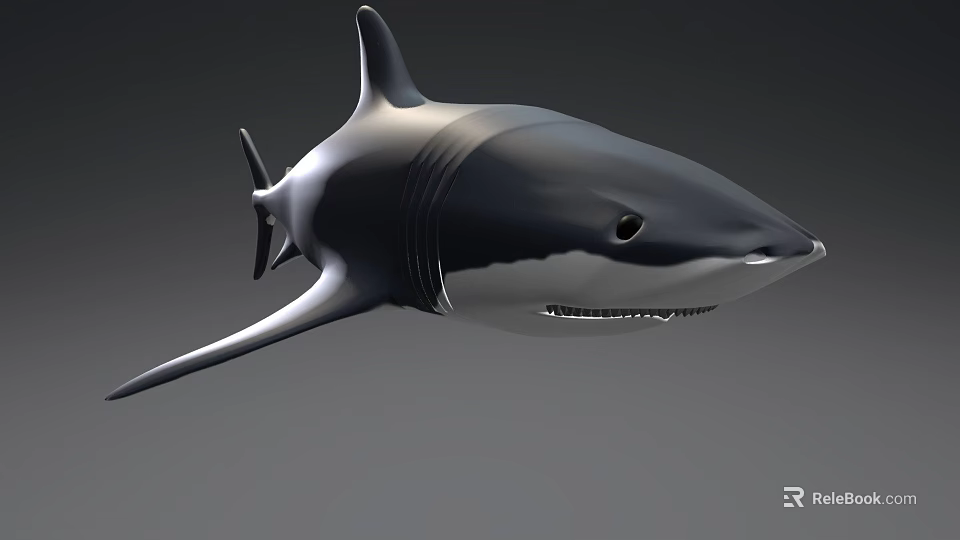 3D Metallic Shark Model With Sleek Surface And Modern Design Features 3d model 