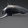 3D Metallic Shark Model With Sleek Surface And Modern Design Features