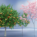 Ornamental Arbor Trees With Orange Fruits And Pink Blossoms In Blue Sky Water Setting