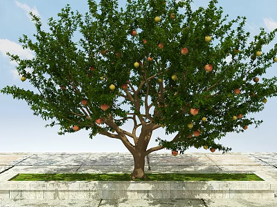 Fruit Tree with Green Leaves and Colorful Fruits on Stone Pavement with Grass Base 3d model