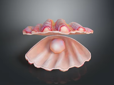 Close Up View Of Open Scallop Shell With Pink Stripes And Shiny Pearl Inside 3d model
