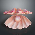 Close Up View Of Open Scallop Shell With Pink Stripes And Shiny Pearl Inside