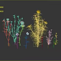 Diverse Garden Plants With White Yellow Flowers And Green Stems Leaves