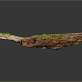 Rustic Wood Stone Branch Featuring Green Moss Natural Texture And Dark Background Reflection 3d model