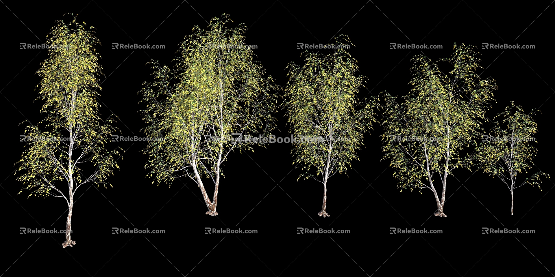 plant autumn tree 3d model