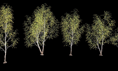 plant autumn tree 3d model