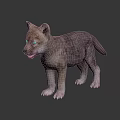 Curious Gray Puppy Standing On Black Reflective Surface With Alert Expression 3d model