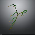 Decorative Vine Plant Structure With Green Branches Small Yellow Flowers and Buds