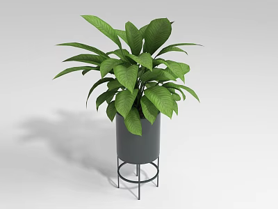 Lush Green Leaf Bonsai Potted Plant In Gray Pot With Black Metal Stand 3d model