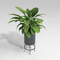 Lush Green Leaf Bonsai Potted Plant In Gray Pot With Black Metal Stand