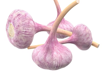 garlic purple skin garlic balls vegetable food 3d model