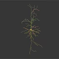 Neuron Structure Visualization Medical Device For Neural Research And Diagnosis 3d model