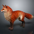 Red Fox Standing With Realistic Fur And Gray Background Detailed Rendering 3d model