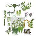 Various Climbing Hanging Vines With Green Leaves And Colorful Flowers For Garden Decor