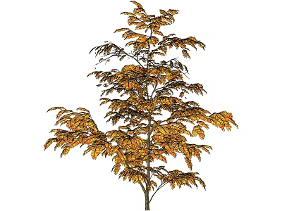 Golden Leaf Shrub With Vibrant Autumn Foliage For Garden Landscaping Design 3d model