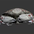 Unique White Crab With Red Spots And Detailed Shell On Dark Surface 3d model