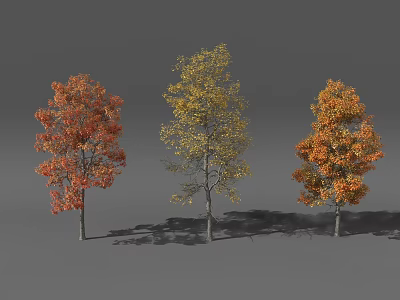 Three Vibrant Autumn Trees With Red Yellow And Orange Colorful Foliage 3d model