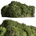 Lush Greenery Covered Garden Ornament With Diverse Plants And Fresh Foliage