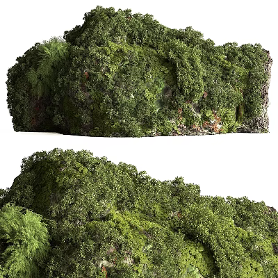 Lush Greenery Covered Garden Ornament With Diverse Plants And Fresh Foliage 3d model